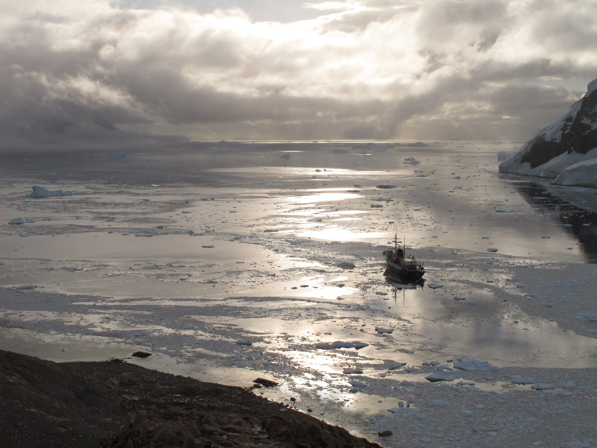 A ship on still water under low sun, ice scattered across the bay.