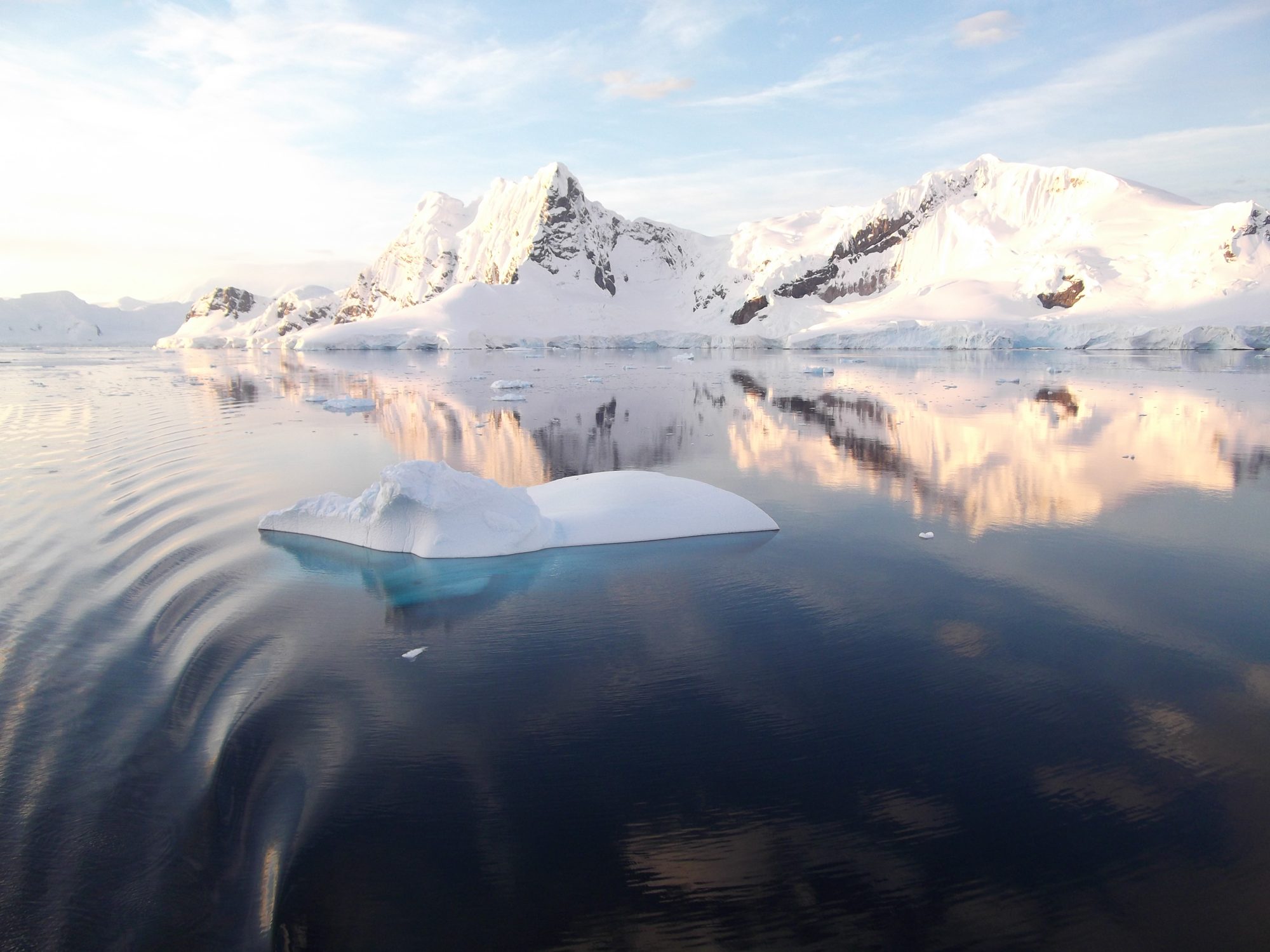 A single sculpted iceberg on glass calm water.